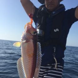 シーモンキー 釣果