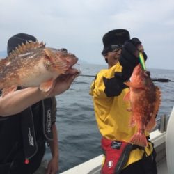 シーモンキー 釣果