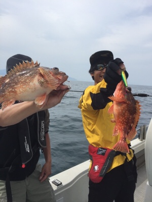 シーモンキー 釣果