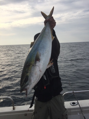 シーモンキー 釣果