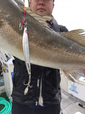 シーモンキー 釣果