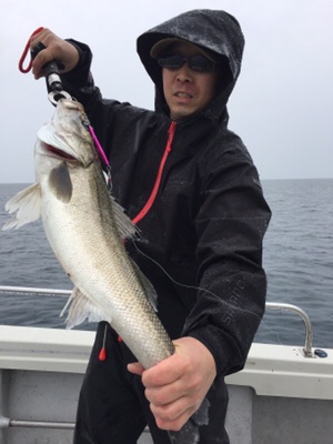 シーモンキー 釣果