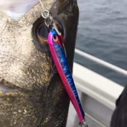 シーモンキー 釣果