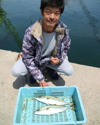 魚英 釣果