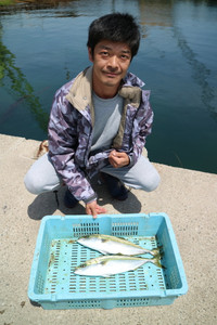 魚英 釣果