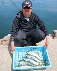 魚英 釣果