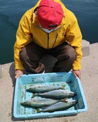魚英 釣果