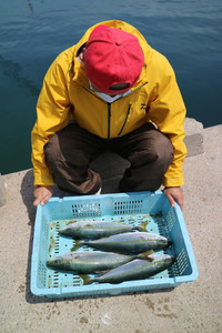 魚英 釣果