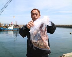 魚英 釣果