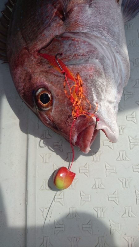 遊漁船ブルーウッズ 釣果