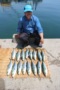魚英 釣果