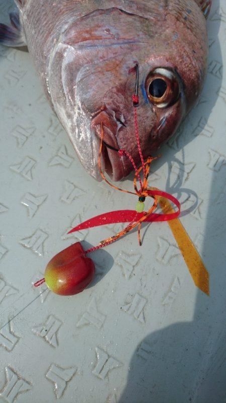 遊漁船ブルーウッズ 釣果