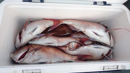 遊漁船ブルーウッズ 釣果