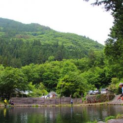 小菅トラウトガーデン 釣果