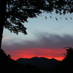 小菅トラウトガーデン 釣果