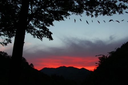 小菅トラウトガーデン 釣果