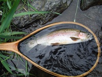 秩父フライフィールド 釣果