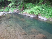 秩父フライフィールド 釣果