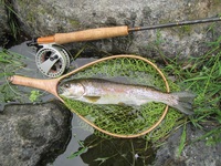 秩父フライフィールド 釣果