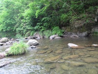 秩父フライフィールド 釣果