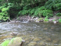秩父フライフィールド 釣果