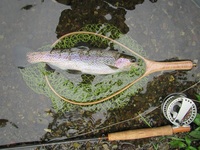 秩父フライフィールド 釣果