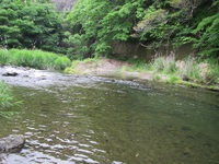 秩父フライフィールド 釣果
