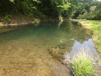 秩父フライフィールド 釣果