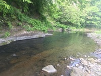 秩父フライフィールド 釣果