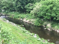 秩父フライフィールド 釣果