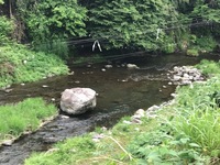 秩父フライフィールド 釣果