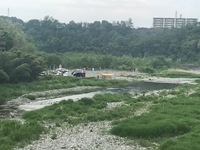 秩父フライフィールド 釣果