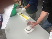 秩父フライフィールド 釣果