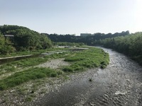 秩父フライフィールド 釣果