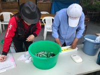 秩父フライフィールド 釣果