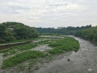 秩父フライフィールド 釣果
