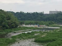 秩父フライフィールド 釣果