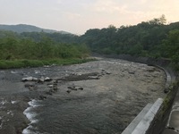 秩父フライフィールド 釣果