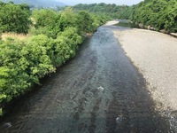 秩父フライフィールド 釣果