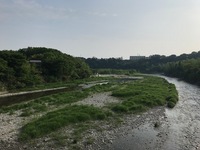 秩父フライフィールド 釣果