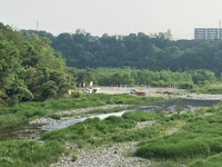 秩父フライフィールド 釣果