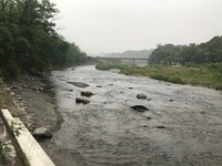 秩父フライフィールド 釣果
