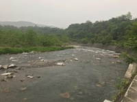 秩父フライフィールド 釣果