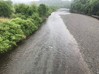 秩父フライフィールド 釣果
