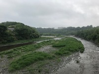 秩父フライフィールド 釣果