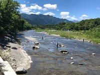 秩父フライフィールド 釣果