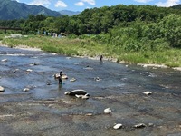 秩父フライフィールド 釣果