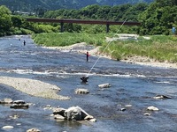 秩父フライフィールド 釣果