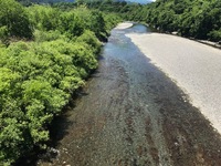 秩父フライフィールド 釣果