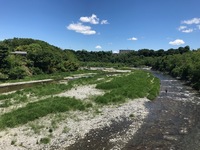 秩父フライフィールド 釣果